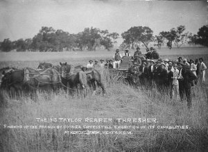 The 1915 Taylor Reaper Thresher. Finishing up the seaso...