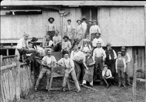 Abbotsford, shearing shed, with shearers - Wingen, NSW