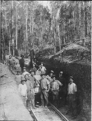 Bonville mill timber workers in tramway cutting - Bonvi...