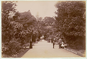 Botanical Gardens, Sydney [showing wallkways]