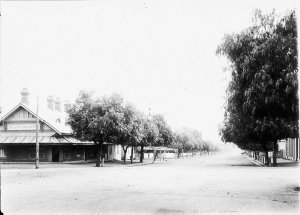View of Liverpool Street - Scone, NSW