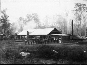 Timber mill staff - Bonville, NSW