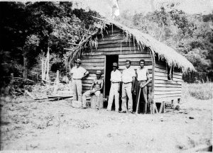 North of Townsville, QLD, at a sawmill