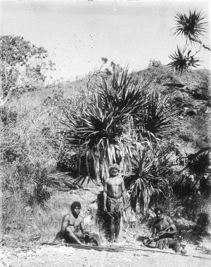 Three Aboriginal men - Port Macquarie, NSW