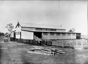 This shearing shed was first to be fully electric in Au...