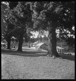 File 27: Home annual landscape, 1941 / photographed by ...