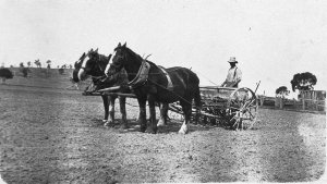 Sowing on "Woodburn" property at Bumberry - "Woodburn",...