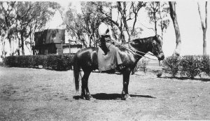 Grace Palotta and "Scamp" the horse - Wallendbeen, NSW