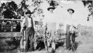 Three men after quail shooting - Kempsey area, NSW