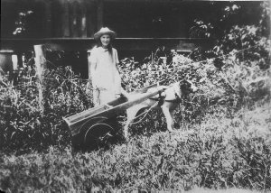 Girl with dog cart (dog's name "Rover") - Myall Lakes, ...