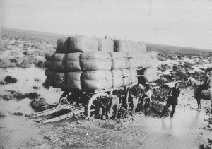Wool wagon bogged on Mossgiel-Ivanhoe road - Willandra ...