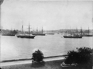 Farm Cove and naval vessels - Sydney, NSW