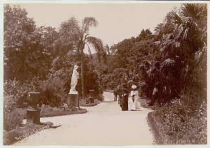 Botanical Gardens, Sydney [showing wallkways, urns and ...