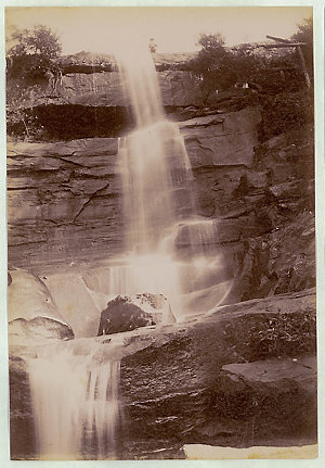 Willoughby Falls, North Sydney