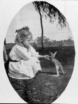 Joyce feeding her pet kangaroo at "Caiwarro" - Hungerfo...