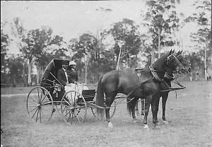 Couple in buggy at Coffs Harbour Show - Coffs Harbour, ...