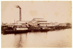 Col[onial] Sugar Co[mpany]'s Mill, Clarence River