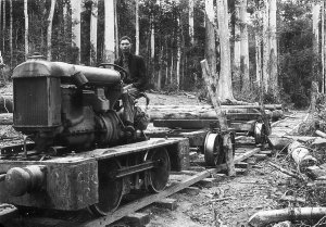 Rail tractor for logging purposes at an outstation, designed for use on temporary track in the heart of the rain forest. Wooden logging tramway with Fordson engine - Timmsvale, NSW (near Ulong)