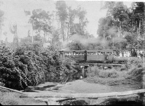 Steam Train at Scheu's Creek - Geraldton, Qld