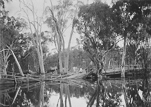 Collapsed bridge over a creek in Gunbower Forest, built...