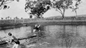 Diving in farm dam - Trundle, NSW