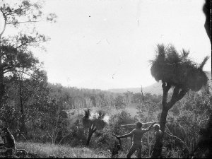 Aboriginal men pretending to spear kangaroo - Port Macq...