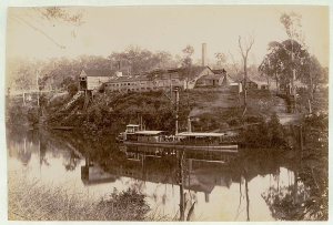 Meat Works, Ramornie, Orara River