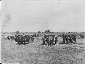 A ploughing match for returned soldiers. 200 acres plou...