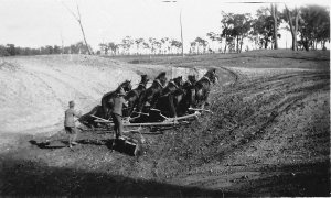 Tank sinking 6 horse team - Alectown, NSW