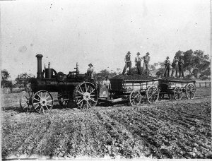 Buffalo Pitts steam traction engine and carts, spreadin...