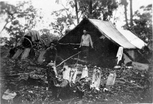 Trappers, Eric Green and Bob Costello, near Manildra, N...