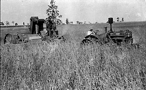 Harvesting wheat behind Case tractor at "Pine Grove" - ...