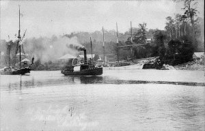 Shipping in Bellinger River - Raleigh, NSW