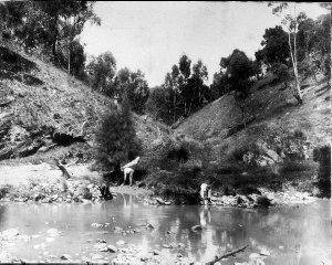 Panning for gold - Ophir, NSW