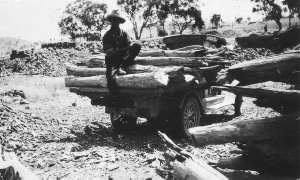 "My father used this truck to cart wood for the steam e...