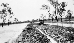 Road to Brewarrina, 3 miles out of Walgett, showing con...