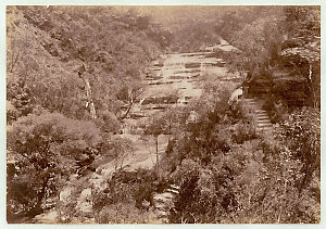 Cascades, Leura