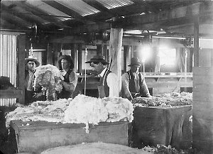 Wool Rolling and Classing - Dundee, Glen Innes, NSW