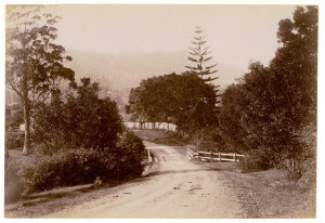Bulli Road, Illawarra