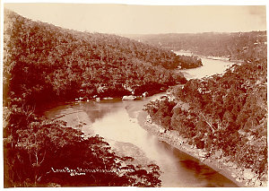 Long Bay, Middle Harbour