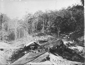 White Rock Silver Mining Co's saw mill - Drake, NSW