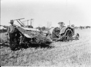Reaper binder behind Fordson tractor on 'Craigmore' har...