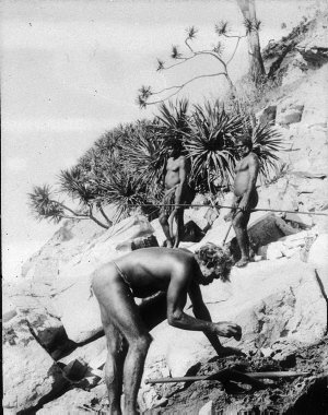 Aboriginal men at coast - Port Macquarie, NSW