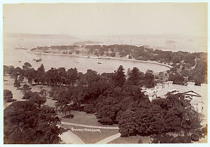 Sydney Harbour showing Farm Cove [and Botanical Gardens...