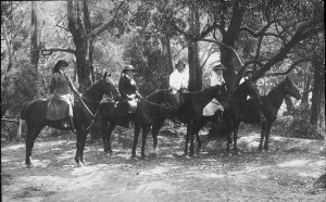 Group on horses on way to Lorne from Colac for holiday ...