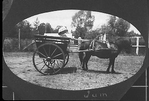 Girl (Joan) in pony cart on 4D (name of property) - Qui...