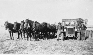 Harvesting with horse team - Overland truck - Parkes di...