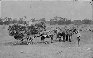 Haymaking at Yarranung - Bega, NSW