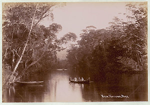 On the river, [Royal] National Park