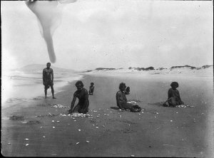 Aborigines collecting pippies on beach - Port Macquarie...